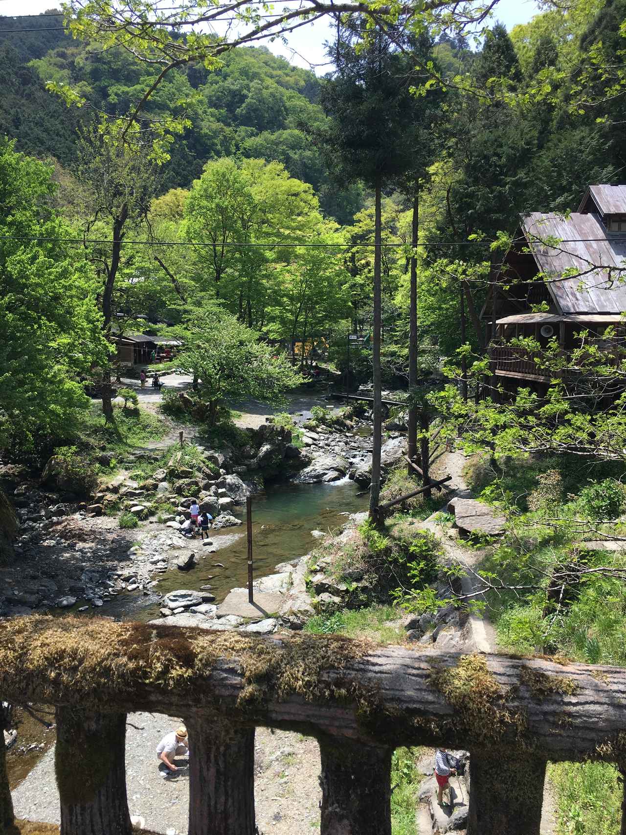 【埼玉】緑あふれる大自然の中の「木のむらキャンプ場」　暑さも忘れて川遊び