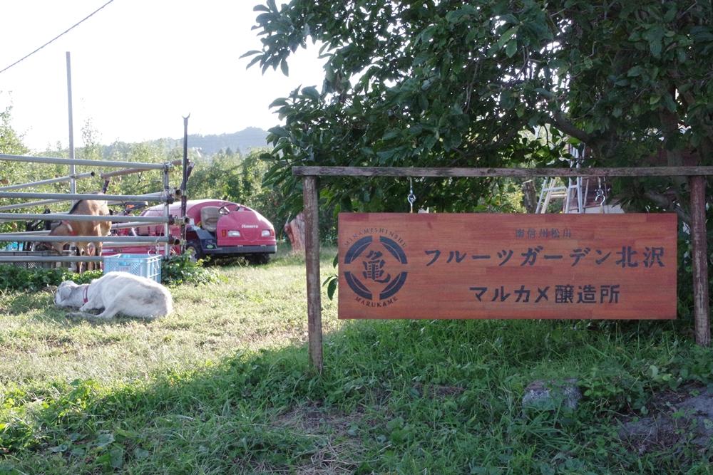 長野・フルーツガーデン北沢で南アルプスの絶景を眺めながら秋の味覚を大満喫！【果物狩り×バーベキュー体験記】