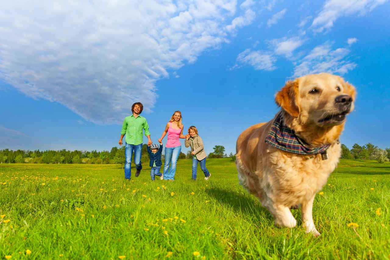 【関東近郊】犬・猫を連れて行ける場所は？　ペットと遊べるスポットを紹介