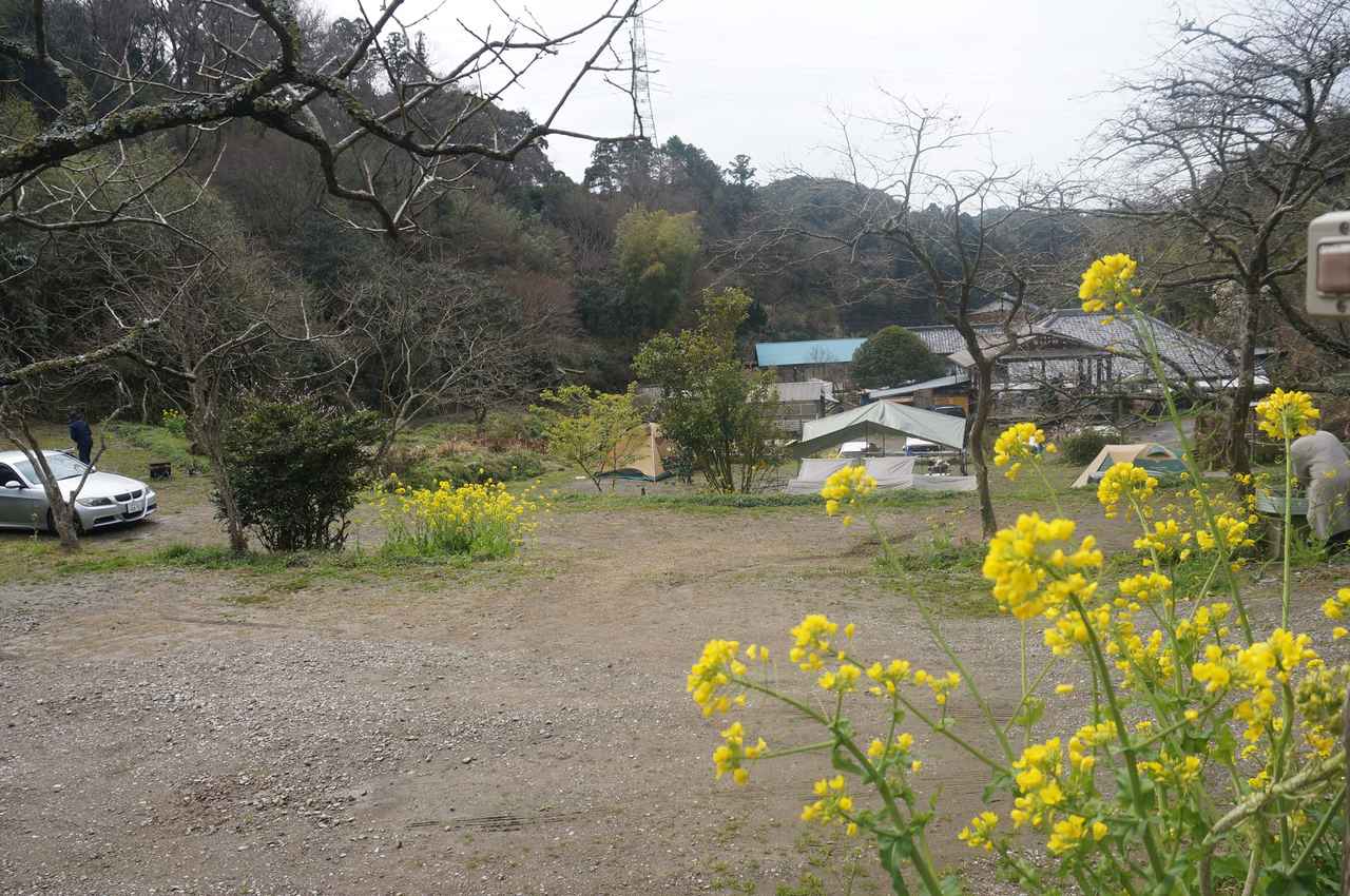 【千葉県富津市「花はなの里オートキャンプ場」紹介】バンガローやログハウスもあって便利！