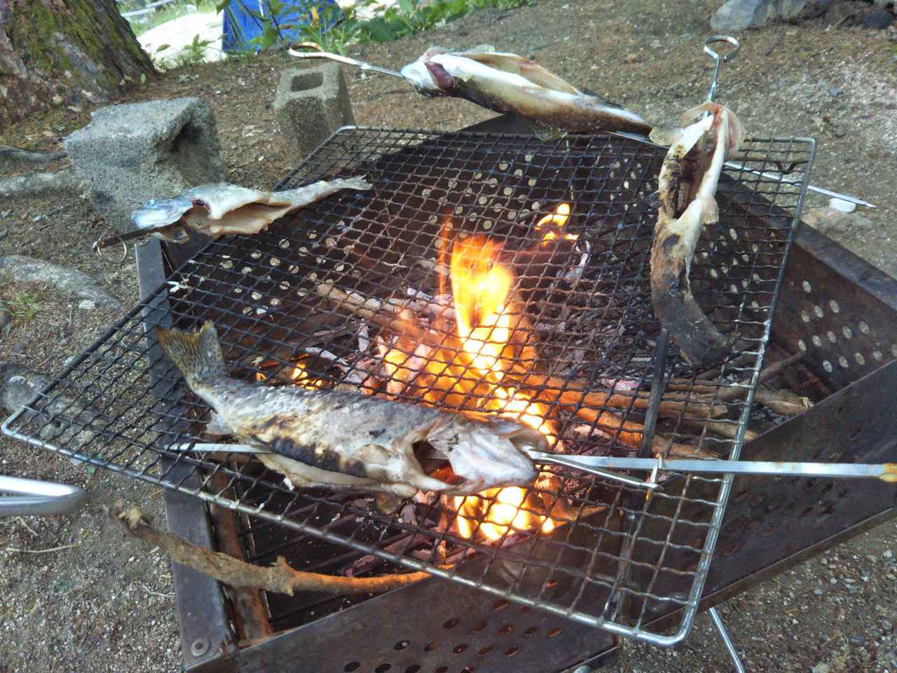 【超楽しい】釣りキャンプの魅力や注意点を紹介！伝統的釣り方〝テンカラ〟とは？