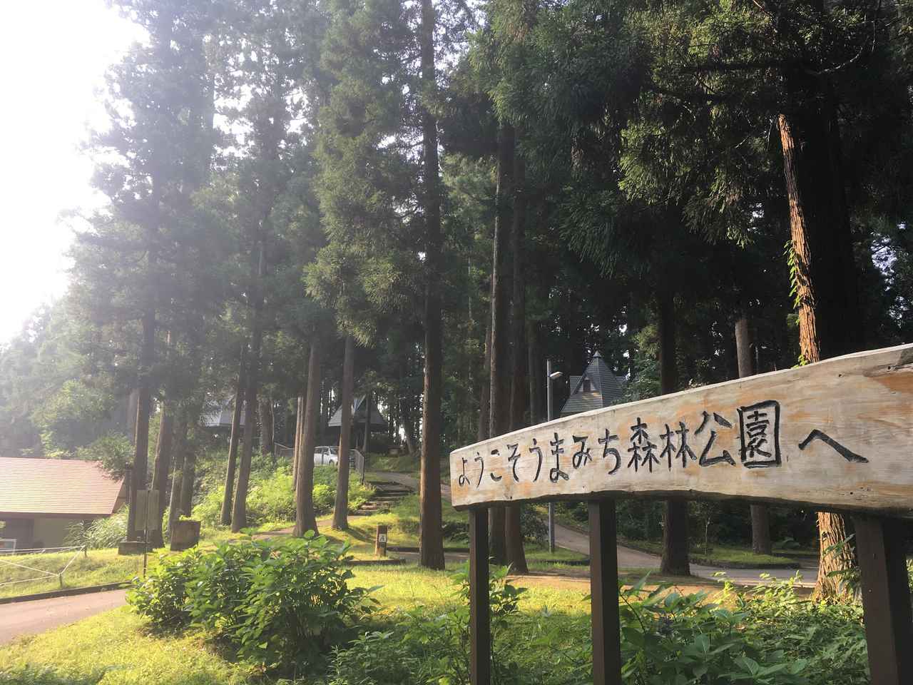 【キャンプ場レビュー】「うまみち森林公園」に行ってみました！　寺泊など新潟県・長岡市の観光情報も紹介