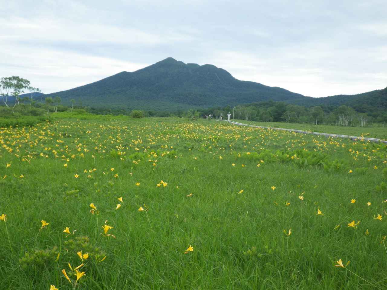 【体験レポ】本州最大級の高層湿原！ 尾瀬ヶ原（尾瀬）ハイキングおすすめコース＆お役立ちアイテム