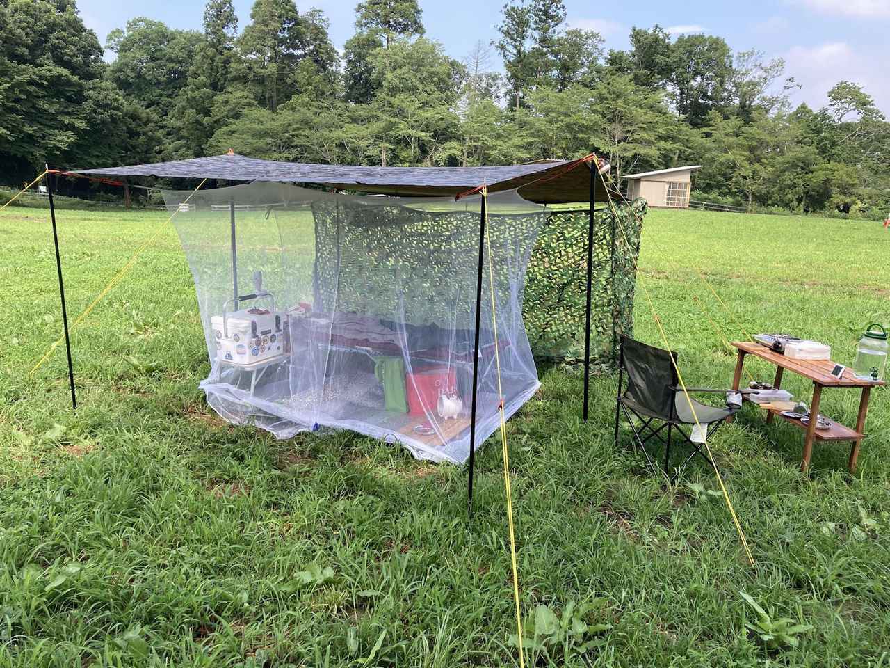 タープ泊で夏キャンプを快適に！蚊帳とコットで虫対策　雨対策についてもご紹介