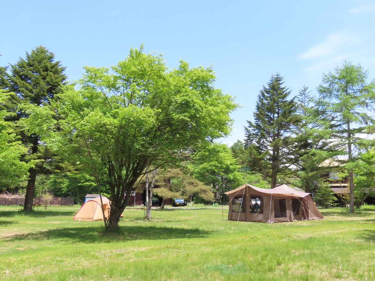 北軽井沢おすすめキャンプ場「-be-北軽井沢キャンプフィールド」は豊かな自然が自慢でのんびりできる