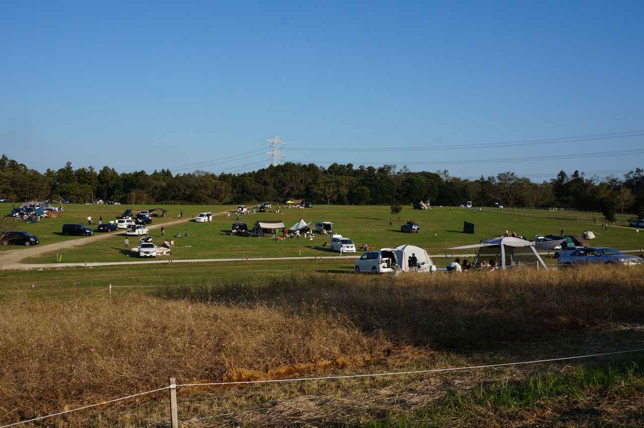 「森のまきばオートキャンプ場」は首都圏で楽しめる牧場！　広々フリーサイトを夕方まで満喫