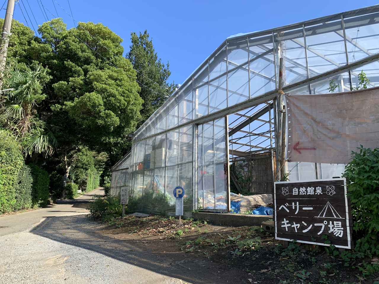 横浜の駅近で自然と触れ合える！神奈川県『自然館泉ベリーキャンプ場』を徹底レビュー