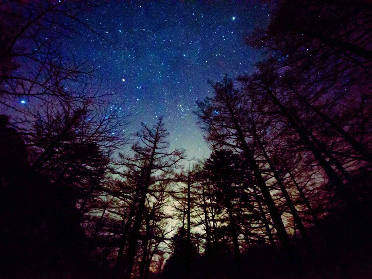 【せいなの森キャンプ場】（長野県阿智村）など　星空が綺麗なおすすめキャンプ場