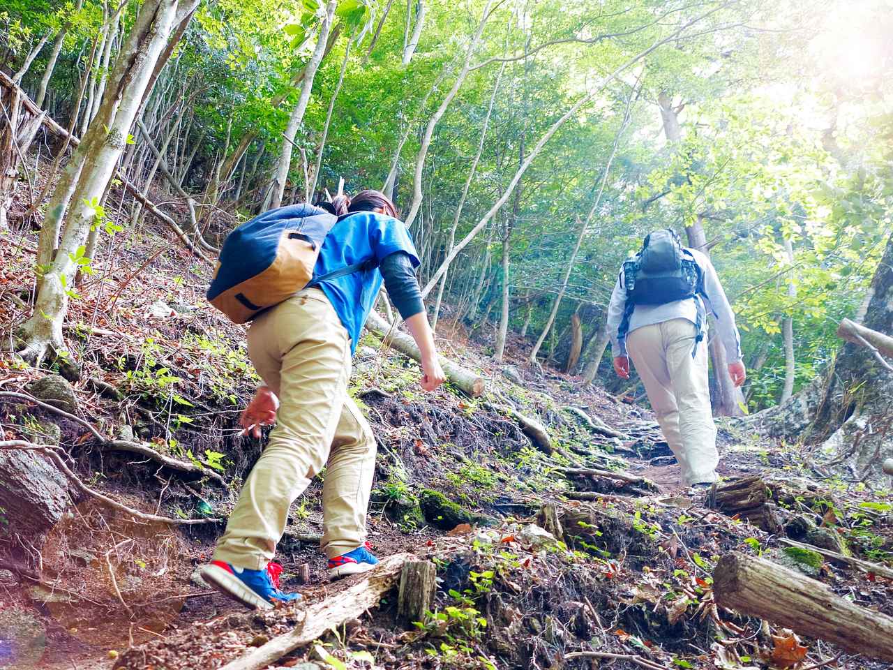 ユニクロで登山デビュー！　スポーツウェア・登山ウェアとして優秀でコスパも良い◎