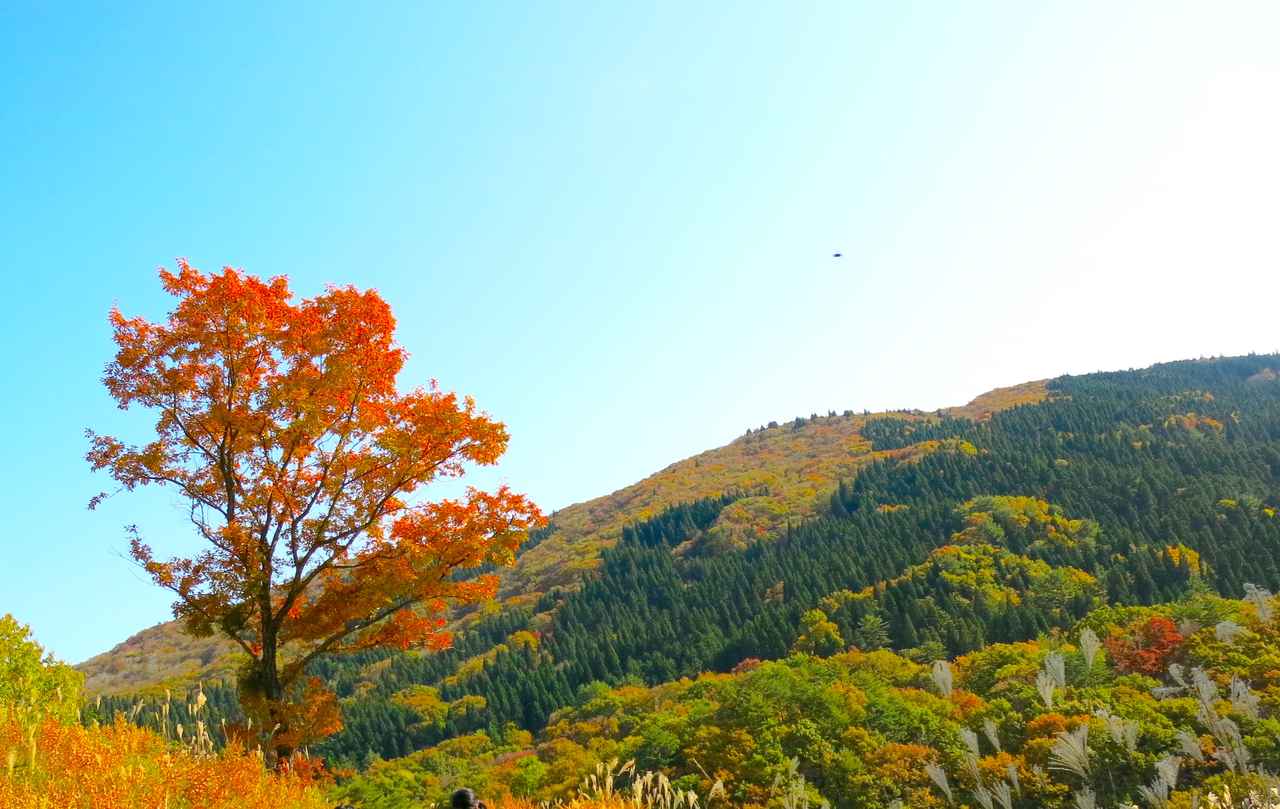 広島県安芸太田町「深入山」で紅葉キャンプを楽しもう！日帰り登山もおすすめ