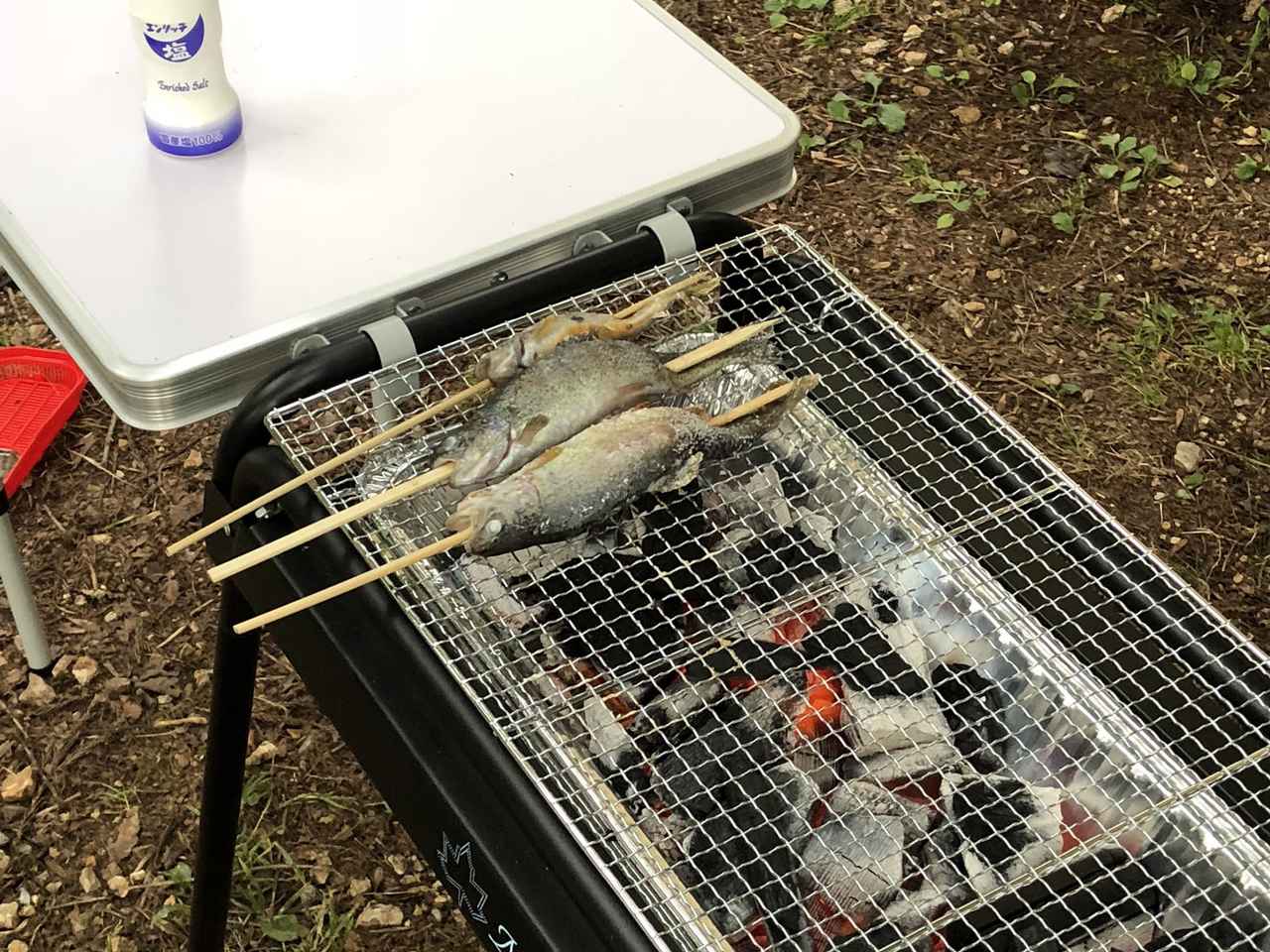 【おすすめキャンプ場53】飛騨荘川「一色の森キャンプ場」で魚釣りやゲレンデアクティビティを堪能！