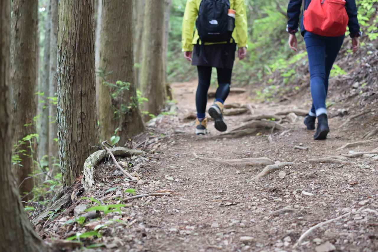 【関東】登山初心者向けに服装・装備を解説！　日帰り山登りにおすすめな山5選も紹介