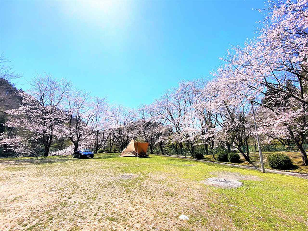 【富山・岐阜】春のお花見が楽しめるキャンプ場6選！