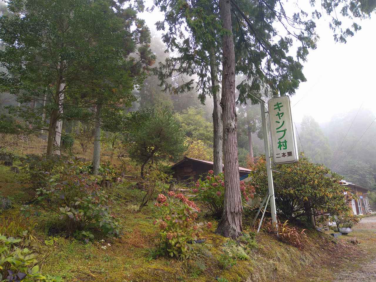 【徳島県】「二本栗キャンプ村」で雄大な山の自然を満喫！近くには温泉や大歩危・祖谷のかずら橋も