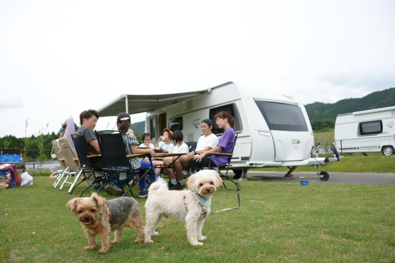 【おすすめキャンプ場81】三重県「やまてらす」は愛犬と泊まれる！広々ドッグランも