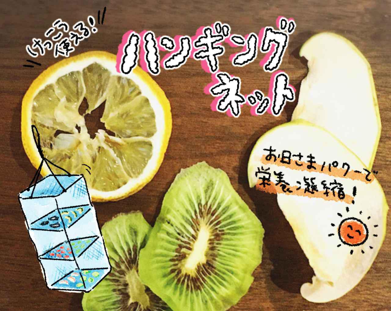 【ドライフルーツの作り方】ハンギングドライネットで簡単！　干物＆干し野菜も