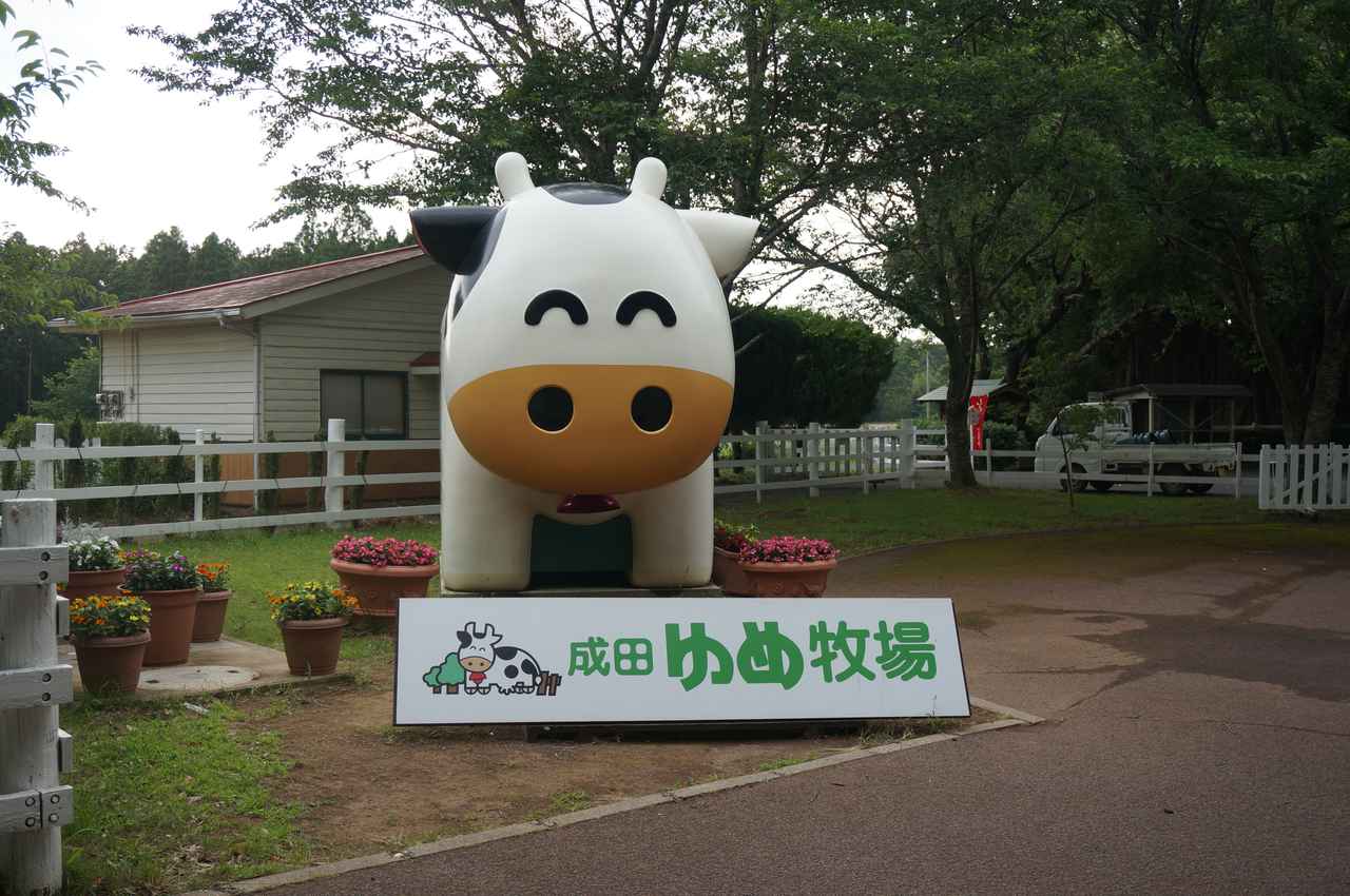 【千葉県】都心から1時間！「成田ゆめ牧場ファミリーオートキャンプ場」は広々サイト＆家族連れにおすすめ