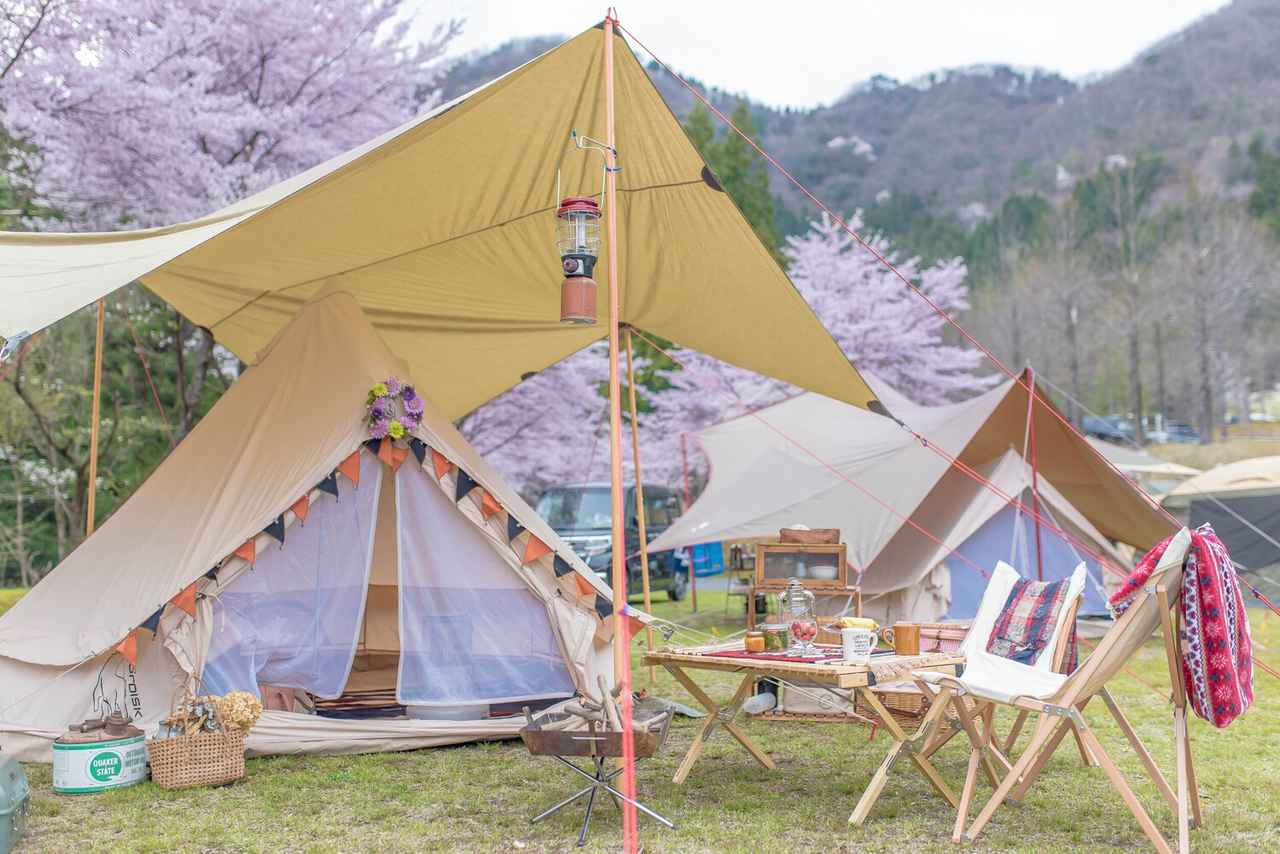 【キャンプの花粉症対策】ハピキャンライターに聞いた！　おすすめグッズやキャンプ場の選び方も紹介