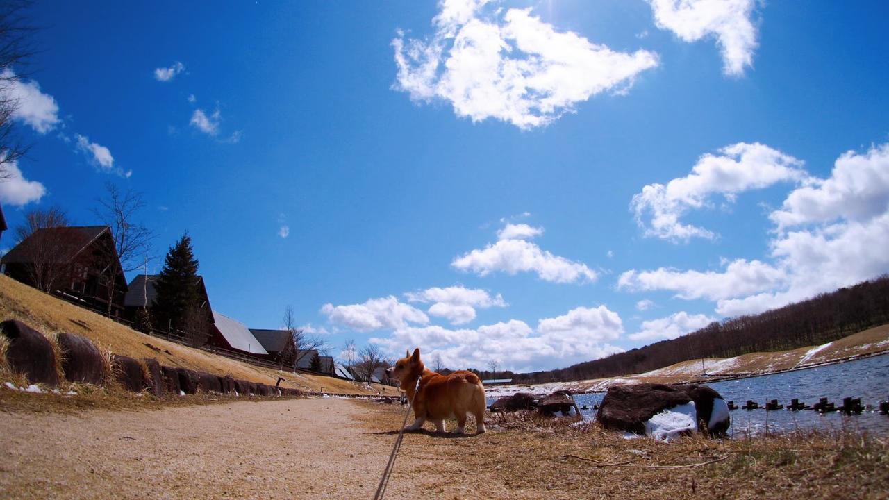 【おすすめキャンプ場69】愛犬のためのリゾート「エンゼルフォレスト那須白河」でワンちゃんと遊ぼう！