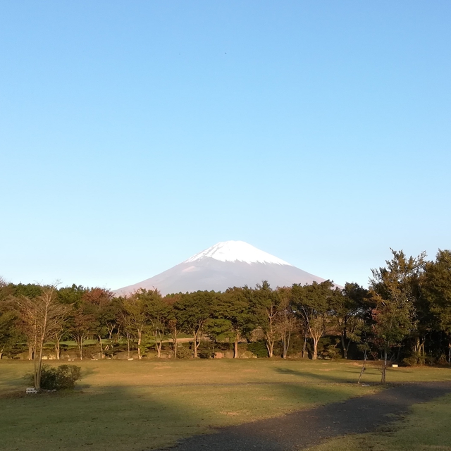 あおやん