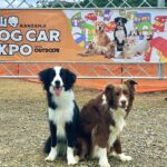 【ワンコ×車キャンプ】「舘山寺ドッグカーEXPO with OUTDOORあそびーくる」イベントレポート