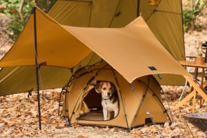 犬専用のテントからフードスタンドまで！Wan＆Co.のギアで、愛犬との絆を深めよう