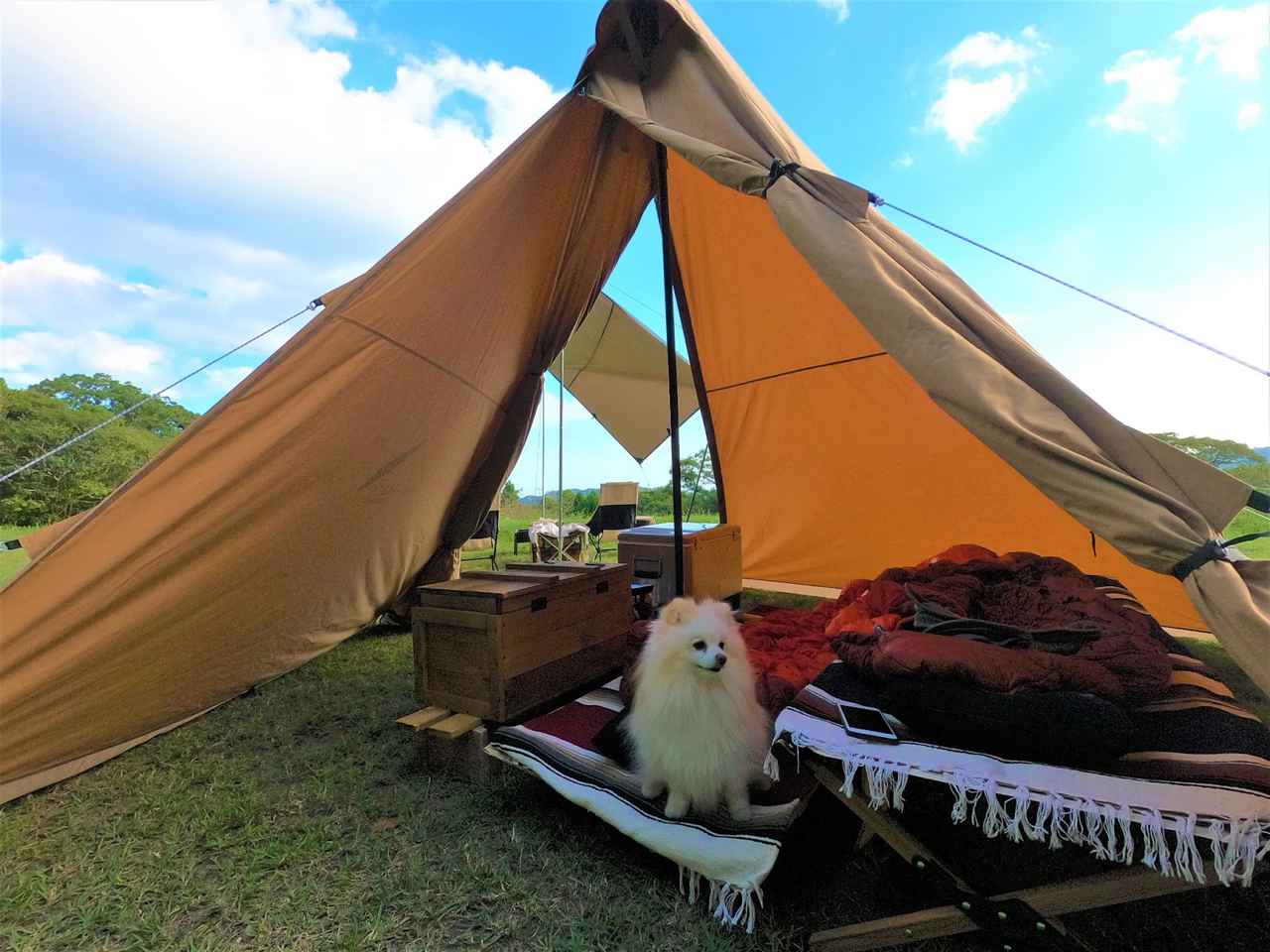 愛犬とキャンプを楽しもう！持ち物やペットOKなキャンプ場を紹介