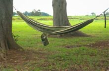 【ハンモックデビューに最適！】モンベル『フィールド ハンモック』を徹底レビュー