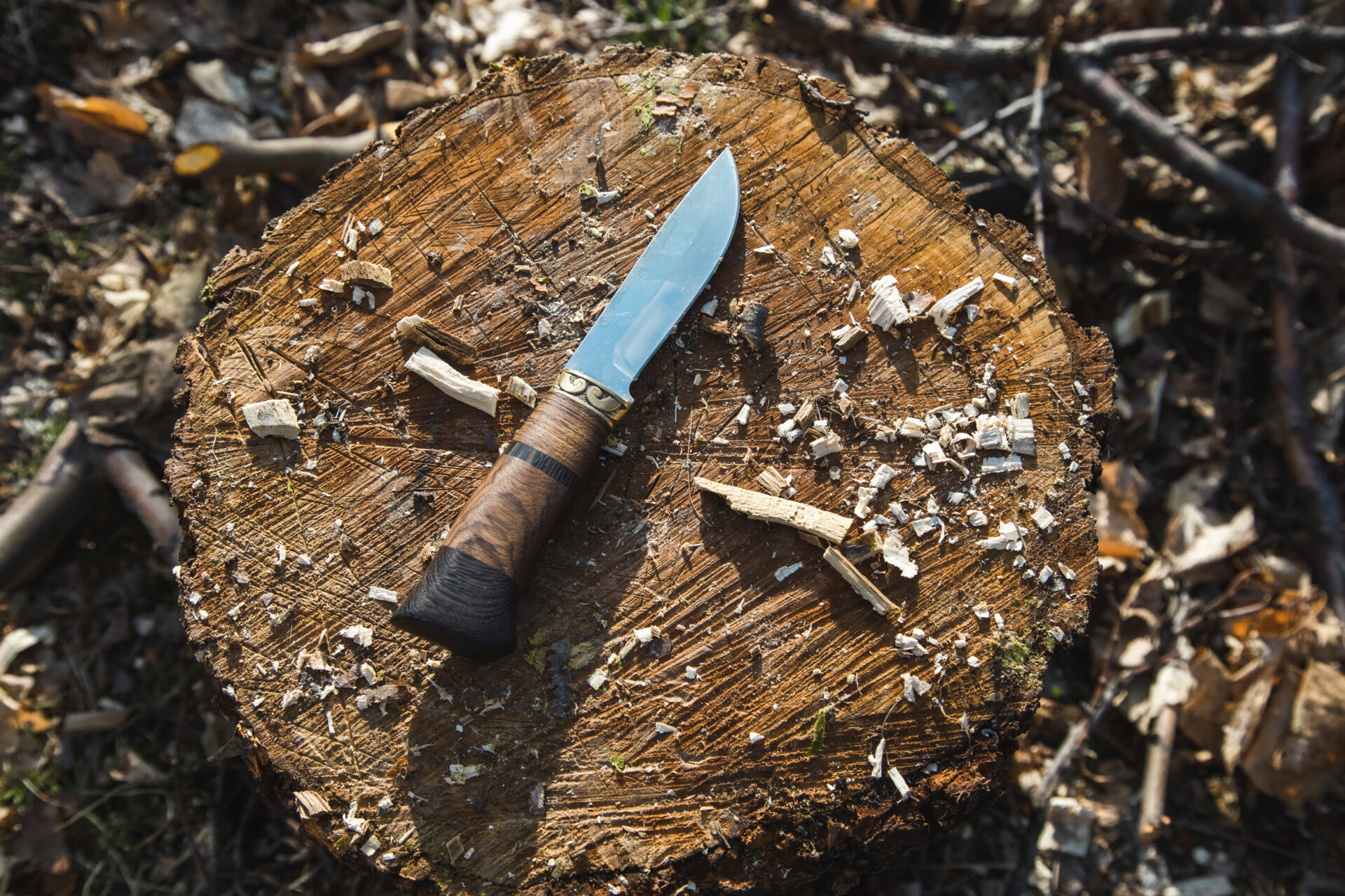 アウトドアナイフ最強ガイド｜日本製×圧倒的切れ味を誇るおすすめTOP10