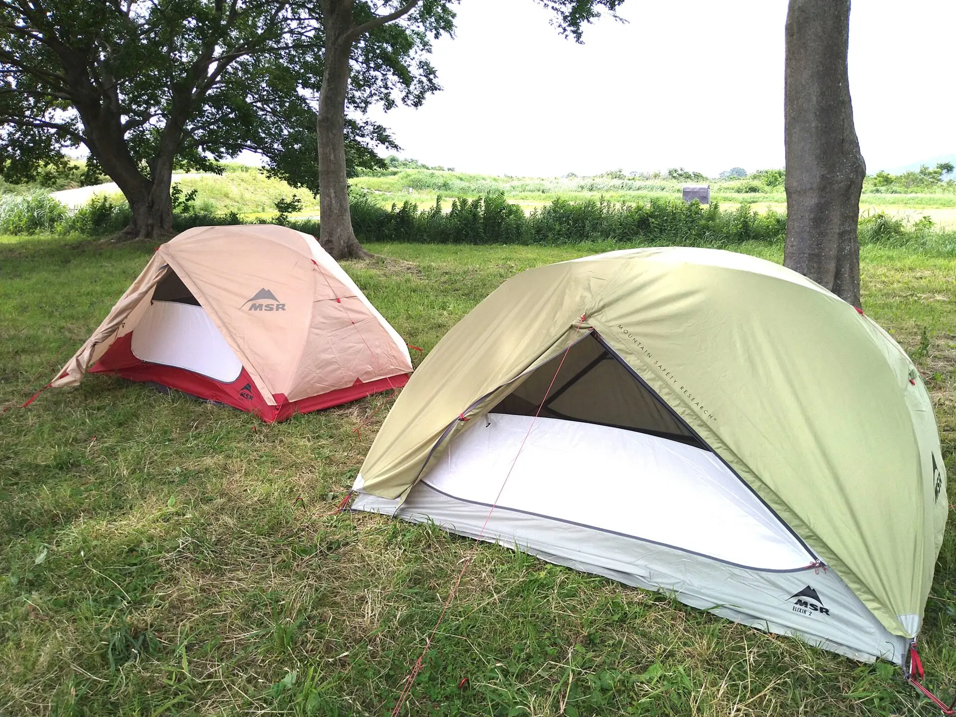 MSRの名作「エリクサー」が49％OFF！楽天スーパーSALEで軽量テントをさがせ