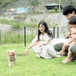 ドッグカフェ新設＆ラン拡張！福岡「杷木松末アウトドアヴィレッジ」が愛犬向けにリニューアル