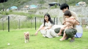 ドッグカフェ新設&ラン拡張!福岡「杷木松末アウトドアヴィレッジ」が愛犬向けにリニューアル