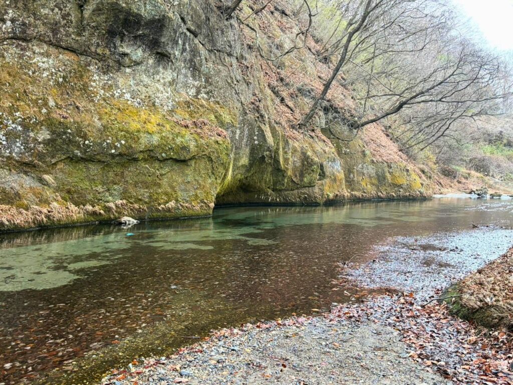 245瀞 West Country Base-01