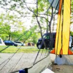 【2025年最新】メッシュタープおすすめ14選｜虫よけ・日よけ・快適アレンジも紹介