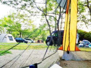 【2025年最新】メッシュタープおすすめ14選|虫よけ・日よけ・快適アレンジも紹介