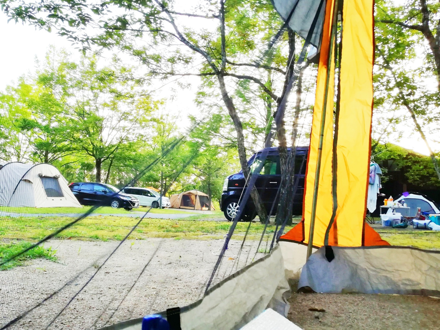 【2025年最新】メッシュタープおすすめ14選｜虫よけ・日よけ・快適アレンジも紹介