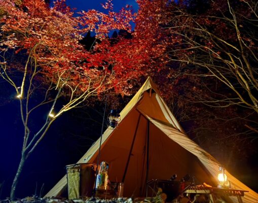 焚火会メンバーが30年放置の森をキャンプ場に！「キャンロクパーク」完成、3/28・29開園イベント開催