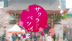 【ハピキャン出展】テレビとお寺のお花見会『サクラベツイン2026』！3月28日・29日は名古屋「東別院」へ集まれ♪